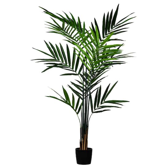 7ft. Potted Kentia Palm